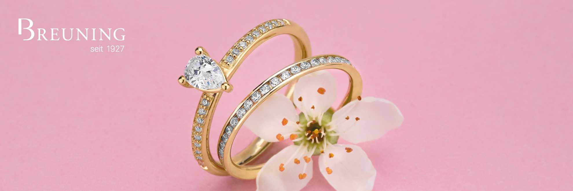 Breuning Solitaire